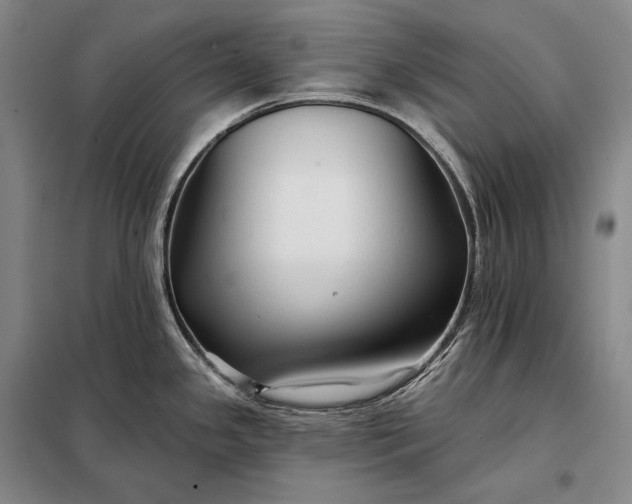 X0000098131341200805011313