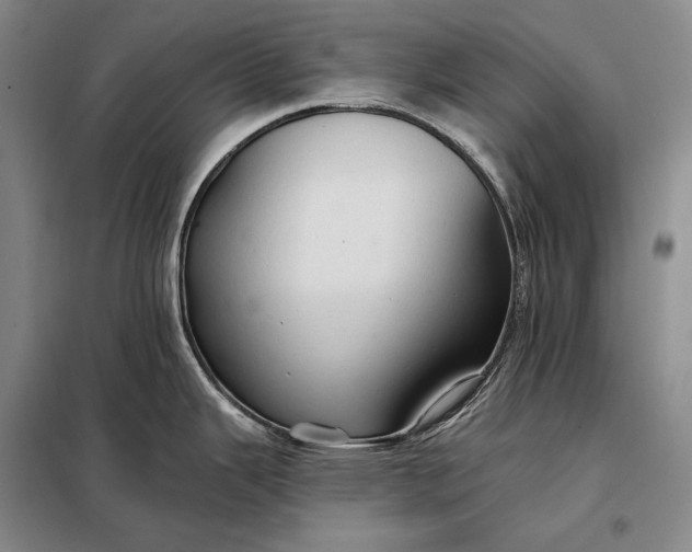 X0000098131343200805011313