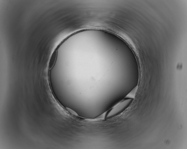 X0000098131344200805011313