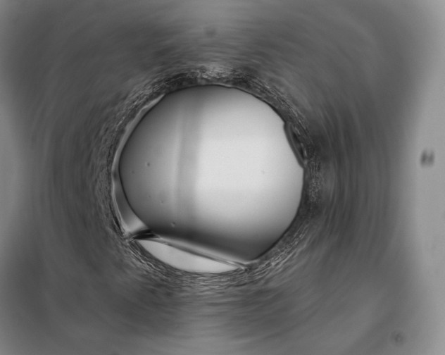 X0000098131345200805011312