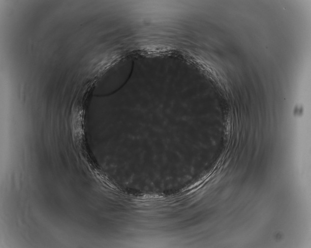 X0000098131346200805011312