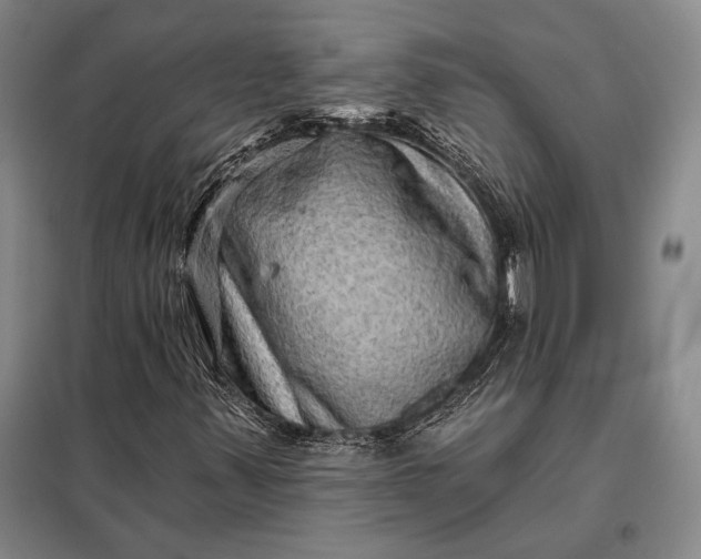 X0000098131347200805011312
