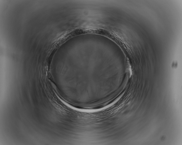 X0000098131348200805011312