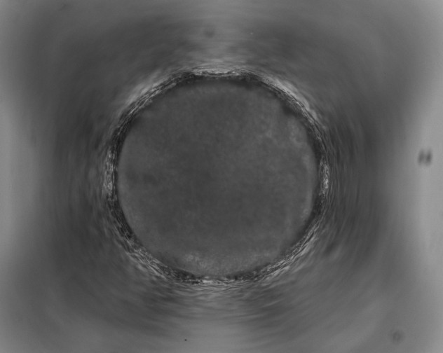 X0000098131350200805011312