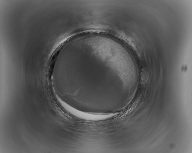 X0000098131352200805011312