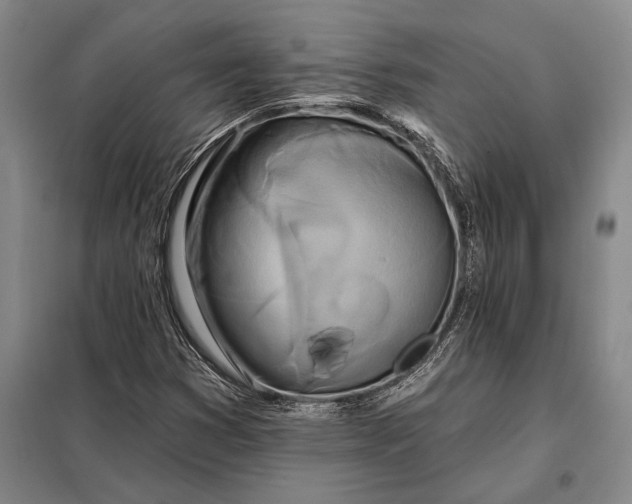 X0000098131353200805011312