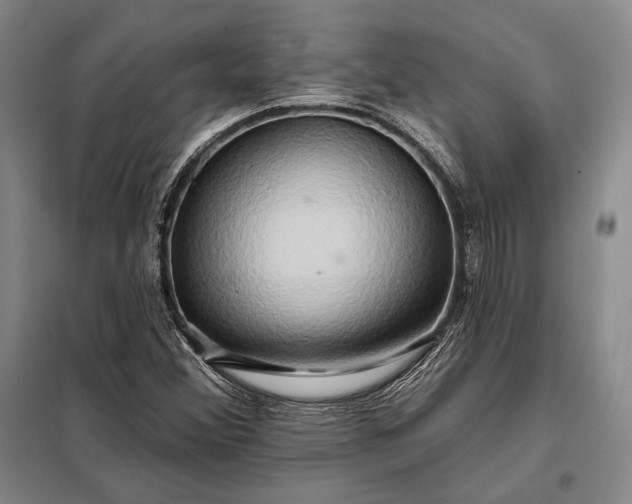 X0000098131356200805011312