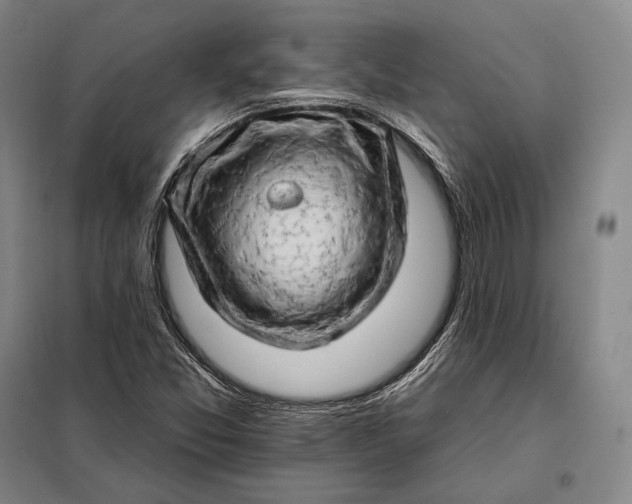 X0000098131357200805011312
