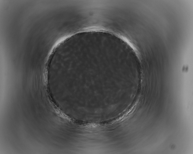 X0000098131358200805011312