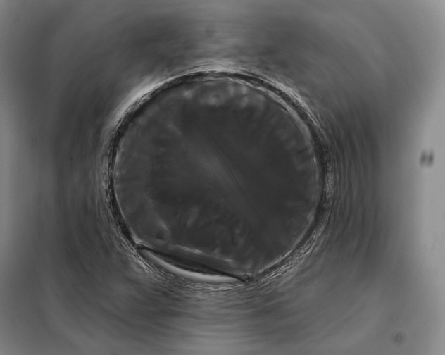 X0000098131359200805011312