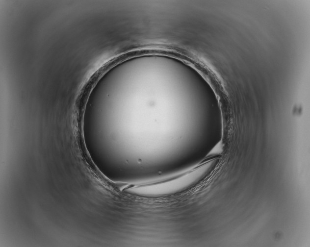 X0000098131360200805011312