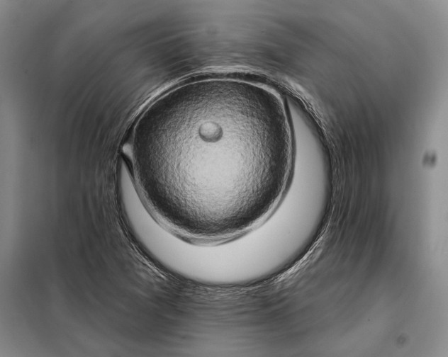 X0000098131361200805011312