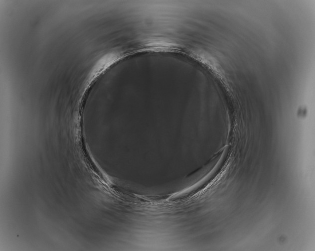 X0000098131362200805011312