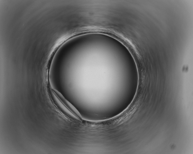 X0000098131365200805011312