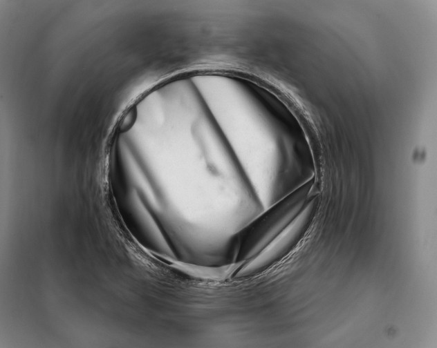 X0000098131366200805011312