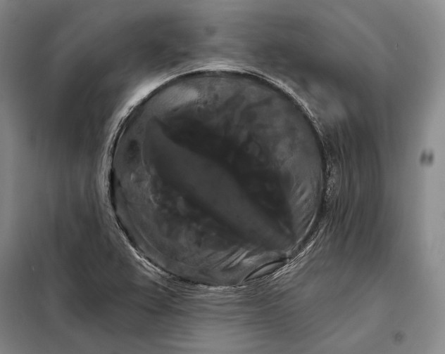 X0000098131367200805011312