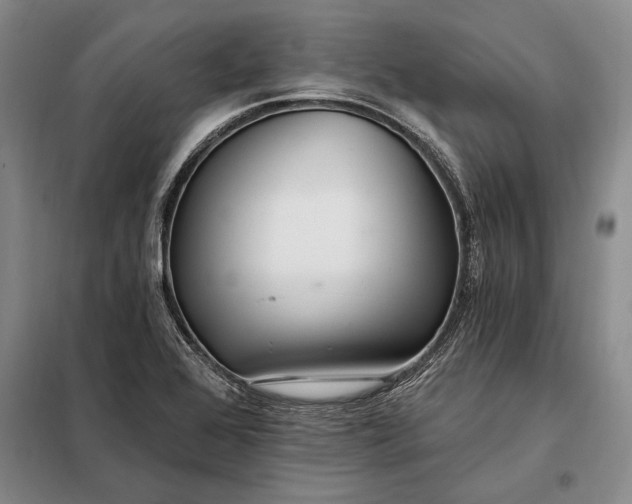 X0000098131368200805011312