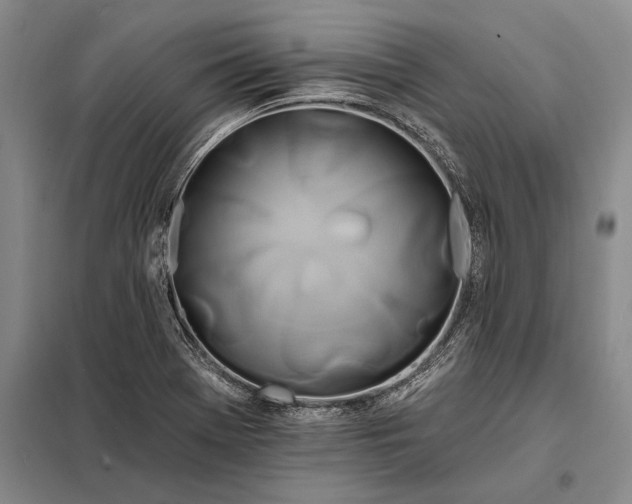 X0000098131369200805011312