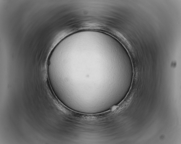 X0000098131370200805011312