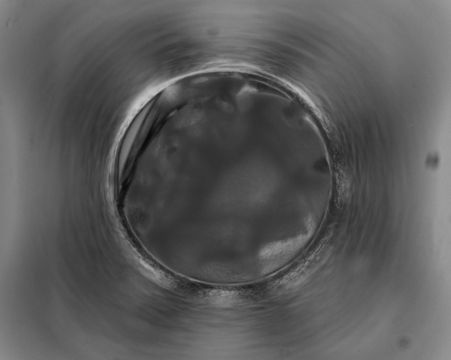 X0000098131371200805011312