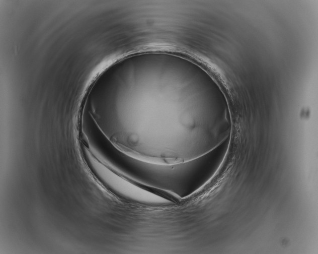 X0000098131373200805011312