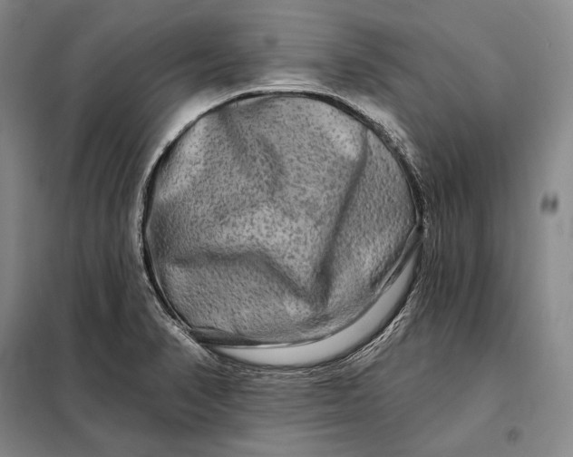 X0000098131374200805011312