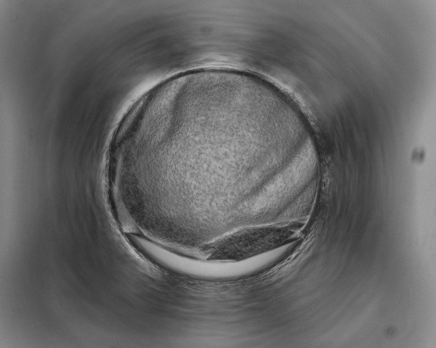 X0000098131375200805011312