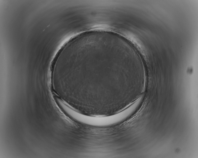 X0000098131376200805011312