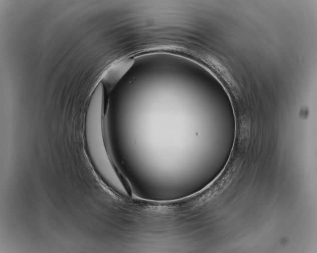X0000098131377200805011312
