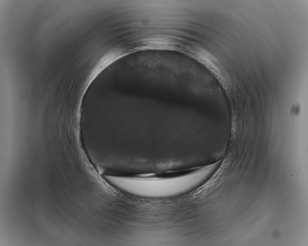 X0000098131378200805011311