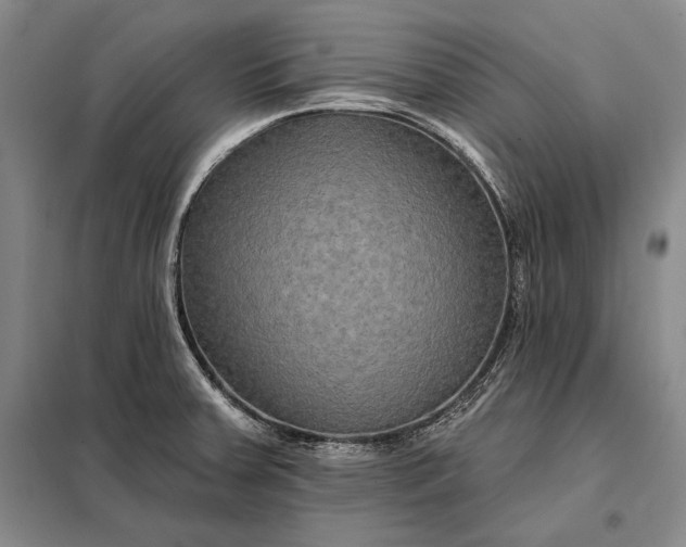 X0000098131379200805011311