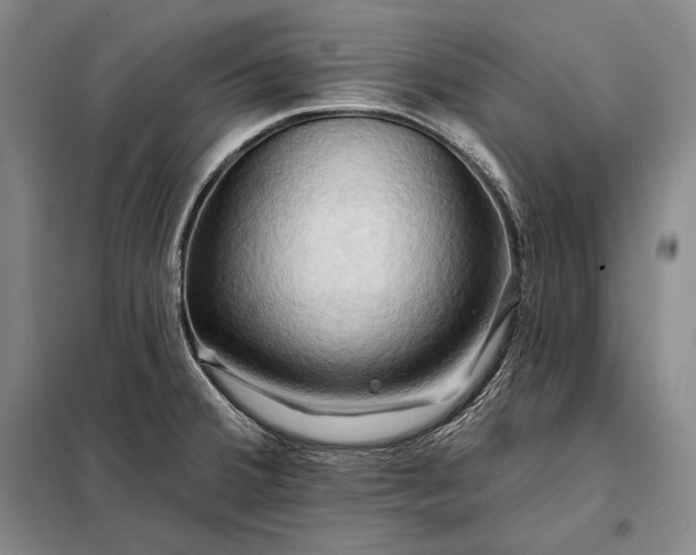 X0000098131380200805011311