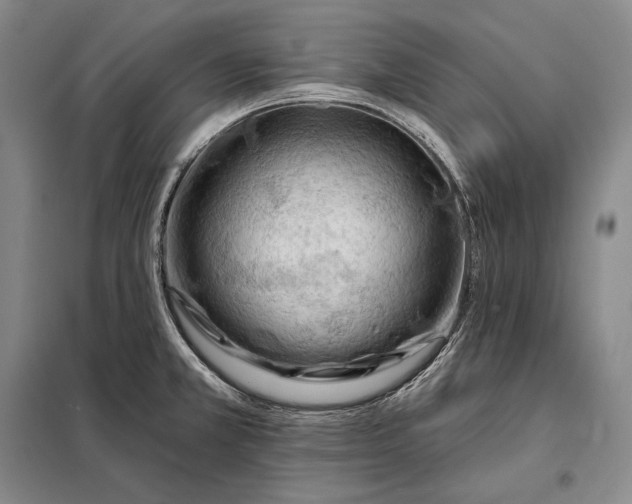 X0000098131381200805011311