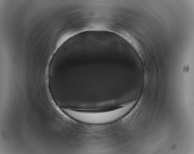 X0000098131382200805011311