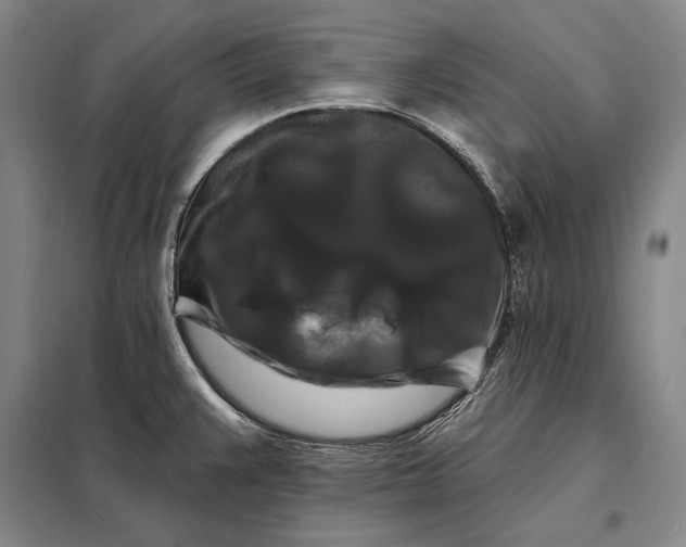 X0000098131383200805011311