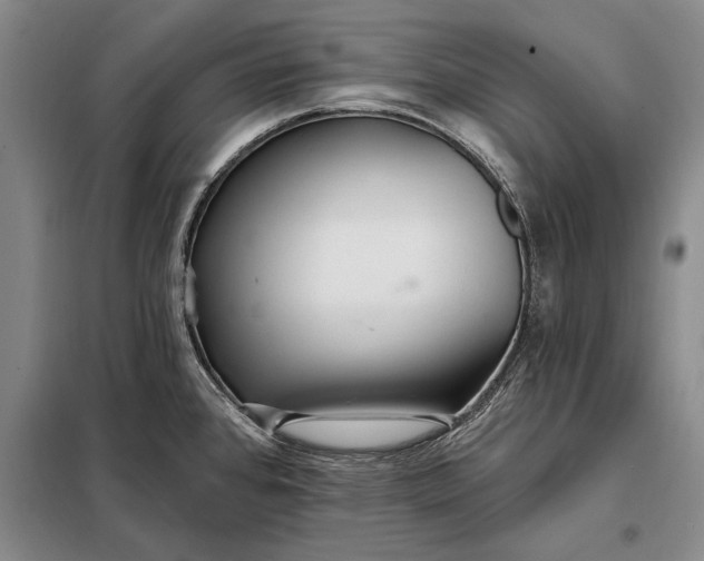 X0000098131384200805011311