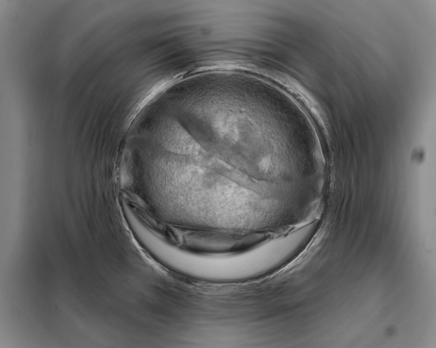 X0000098131385200805011311