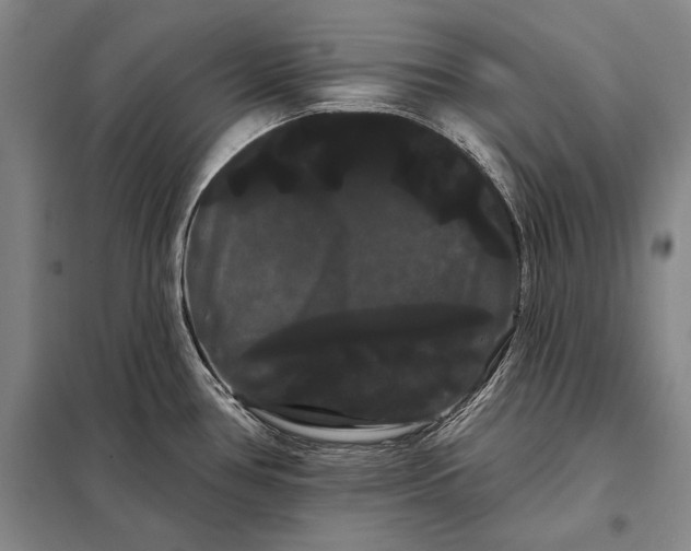 X0000098131386200805011311