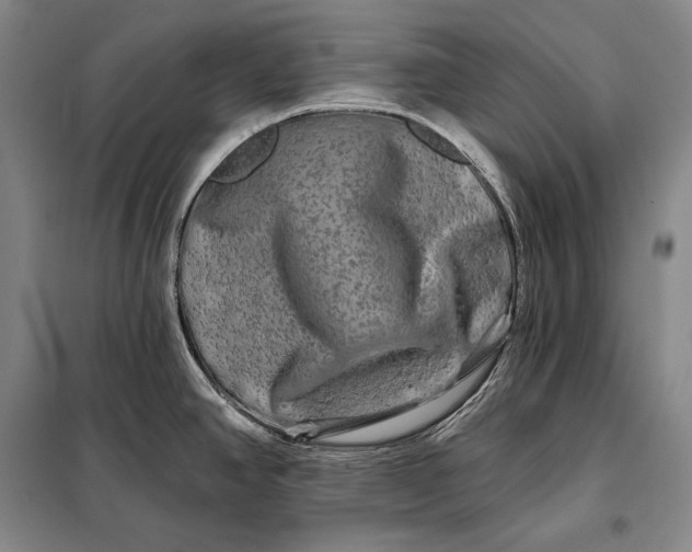 X0000098131390200805011311