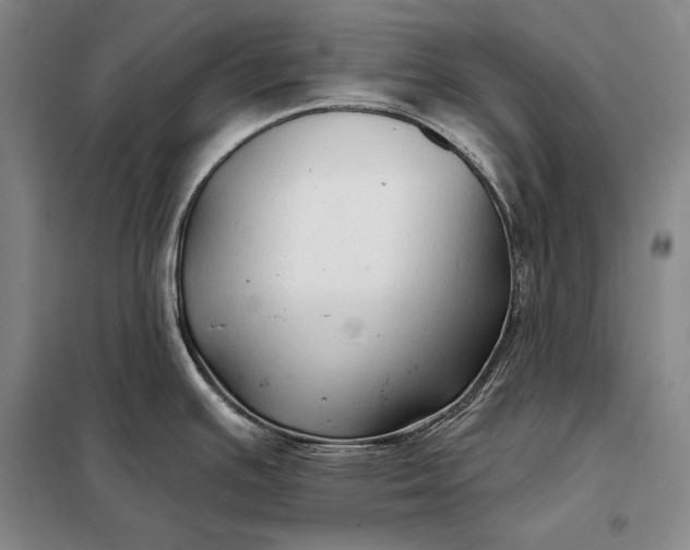 X0000098131391200805011311