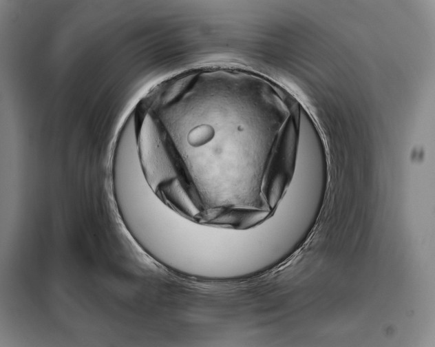 X0000098131392200805011311