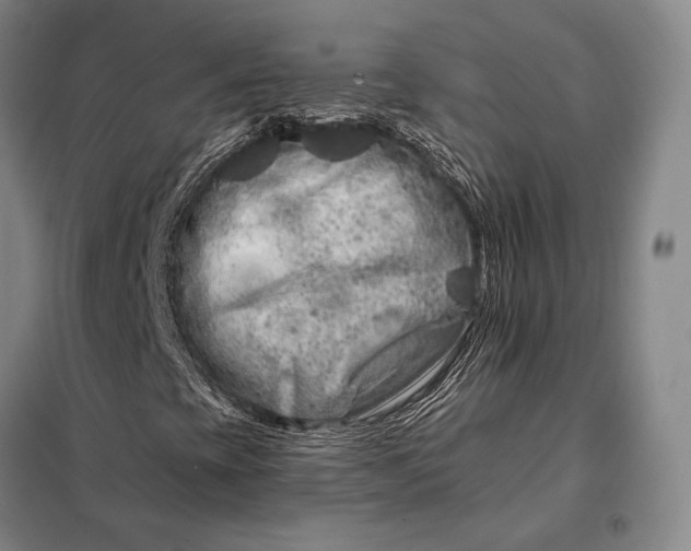 X0000098131393200805011310