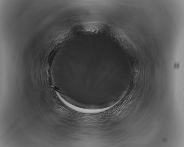 X0000098131394200805011310