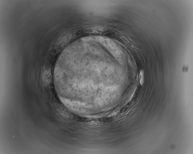 X0000098131395200805011311