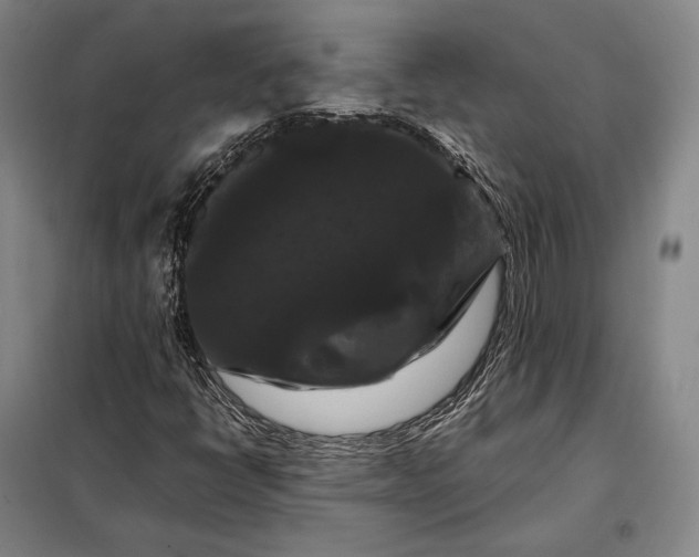X0000098131398200805011311