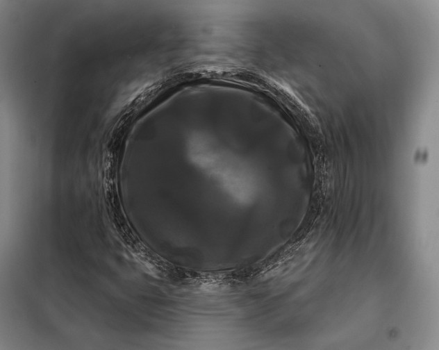 X0000098131399200805011311