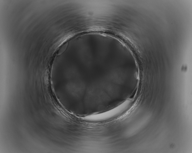 X0000098131401200805011311