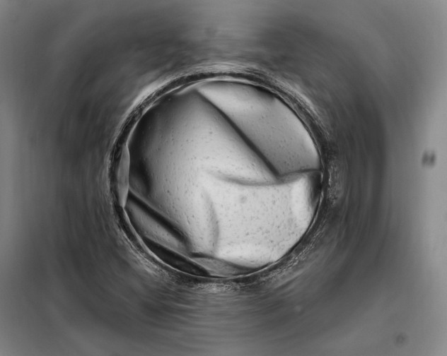 X0000098131404200805011311