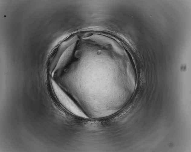 X0000098131406200805011311