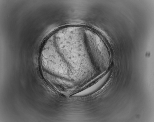 X0000098131407200805011311